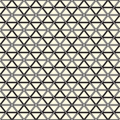 Fototapeta premium Vintage Seamless Geometric Floral Pattern