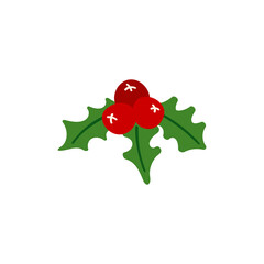 Mistletoe, holly, Christmas berries with doodle style leaves. Cute vector illustration for holiday decoration of cards, posters, concession products. Christmas and New Years element.