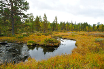 Fototapeta na wymiar Rogen Naturreservat in Schweden