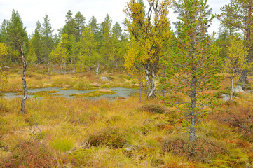 Rogen Naturreservat in Schweden
