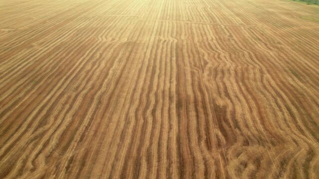Fly over the field after harvest. Incredible landscapes and textures. The dug-up strips left by the combines form geometric lines stretching parallel to each other to the horizon