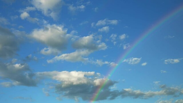 a bird flies in the sky crossing the rainbow. hope concept