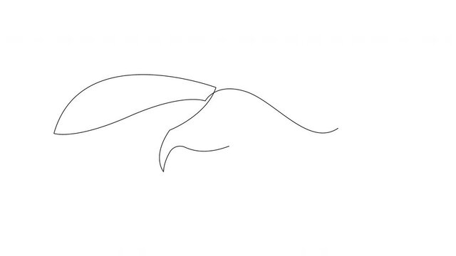Animated self drawing of single continuous line drawing of running squirrel. Corporation logo identity. Company icon concept from chipmunk animal shape. Full length one line animation illustration.