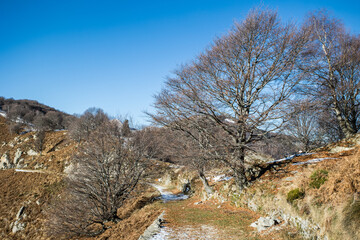 Linea Cadorna Piancavallo Moricciolo