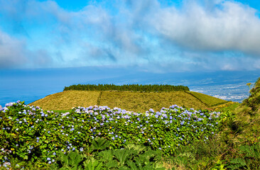 Fototapeta na wymiar Lagoa de Pau Pique, São Miguel Island, Azores, Açores, Portugal, Europe.