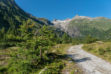 Fototapeta na wymiar Landscape of the Rhone Valley near the hamlet of Gletsch