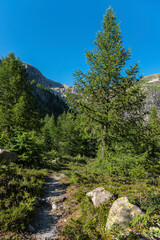 Obraz premium Landscape of the Rhone Valley near the hamlet of Gletsch