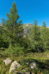 Fototapeta na wymiar Landscape of the Rhone Valley near the hamlet of Gletsch