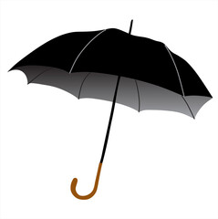 Black umbrella