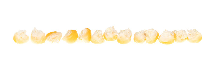 Dry grains of corn on a white background.