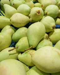 Green pears  in the market.