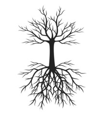 Black appleTree with Roots. Vector outline Illustration. Plant in Garden.
