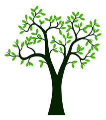 Green Spring Tree.. Vector outline Illustration. Plant in Garden.