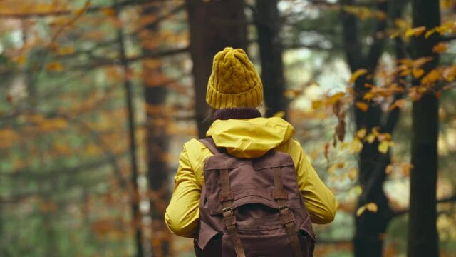 camera follows woman hiking in forest in Atumn. adventurous woman in yellow outdoor wear with backpack hiking on trail peaceful green woods with tracking shot from behind.