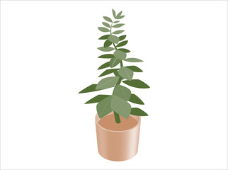 House plant isometric illustration. Home decoration. 3D rendering. Green plant with leaves in a brown pot.