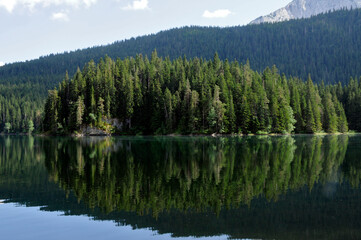 Fichtenwald am Crno jezero