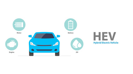 Types of electric vehicles infographic.