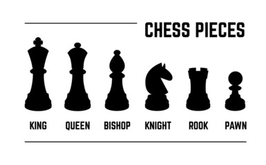 Fototapeta Set of named chess piece obraz