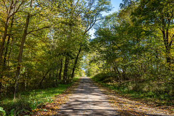 Obraz premium Indiana Dirt Road