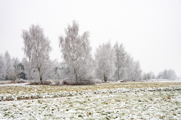 Fototapeta Zima, zimowy krajobraz, zimowe drzewa, oszronione drzewa, śnieg, zimowe krajobrazy, łąka zimą, Polska zimą,  obraz