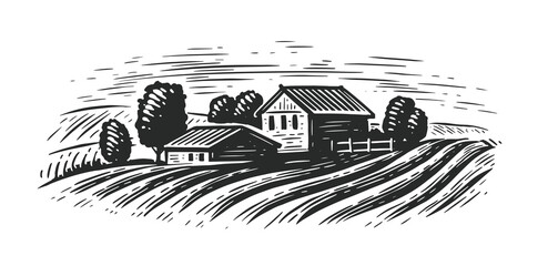 Countryside landscape farm fields. Rural rustic view sketch vintage vector illustration
