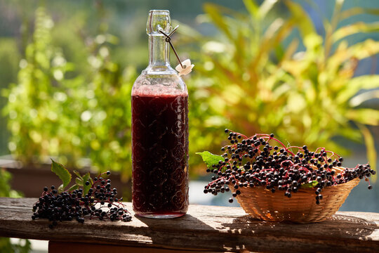 A bottle of black elder syrup with fresh elderberries
