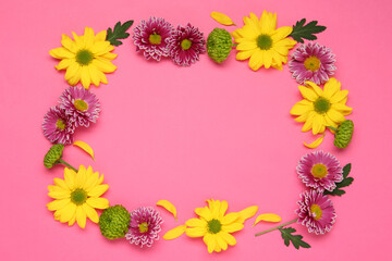 Frame of beautiful chrysanthemums on pink background, flat lay. Space for text