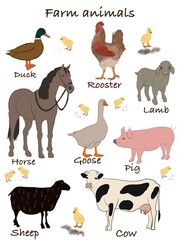 Poster with farm animals. Illustration. Cow, sheep, horse, lamb, pig, goose, duck, rooster on white background. Children. Kids.