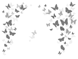 Plakat Flying black silhouettes of butterflies. Design element 
