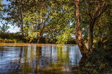 Obraz premium Little Raccoon Creek