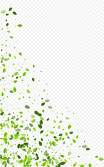Forest Greens Organic Vector Transparent