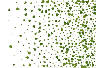 Green Greens Spring Vector White Background