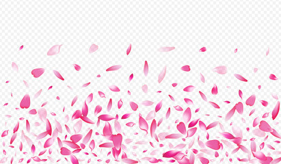 Color Tree Vector Transparent Background. Cherry