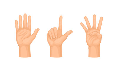 Human hand gestures set. Open hand doing counting gestures vector illustration