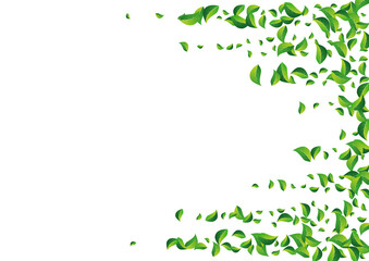Swamp Greens Realistic Vector White Background.