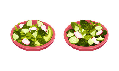 Fresh green vegetable salad in ceramic bowl. Fresh and healthy vegetarian food vector illustration