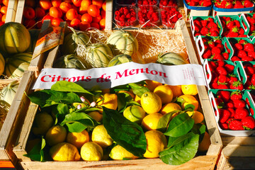 Frankreich, Provence,  Markt, Zitronen aus Menton