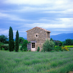 Fototapeta na wymiar France, Provence, Alps Cote d'Azur, Haute Provence, Valensole Plateau, Lavender Field and stone house