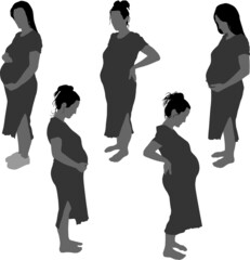 Collection of vector illustration silhouette of pregnant woman standing with big belly