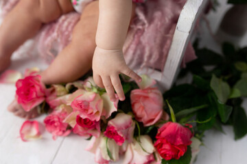 children's small hand on a white background near a bouquet of roses