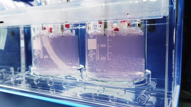 Pills Are Moved Up And Down In Liquid In Dissolution Apparatus For Chemical Analysis. Modern Equipment At Pharmaceutical Laboratory. Quality Testing Process. Medical Research. Composition Of Tablets.