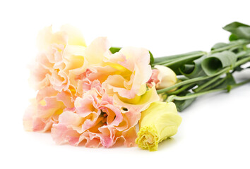 Obraz premium Beautiful pink eustoma.