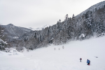Pirineo Frances Invernal, paseo en raquetas