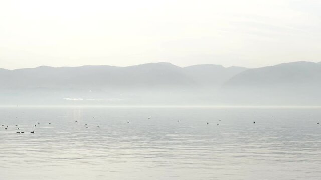 mountain silhouette, mountain silhouette in foggy weather, sea and birds