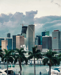 Miami Florida views downtown city