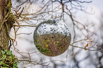 Silver reflective disco globe hanging from tree in woodland.
