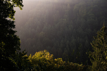 Sunrise in front of a wooded mountain with light fog in great scenery