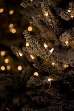 artistic abstract selective soft focus Winter Holidays close-up macro background texture of snowy green decorative Christmas tree with clear yellow gold bulbs and lights on branches with snow