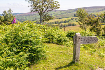 A waymark post for Dickie's Path on Stoke Pero Common on Exmoor National Park, near Cloutsham, Somerset UK