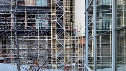 Pattern of ladders and scaffolding on construction with bare tree branches in foreground, in Los Angeles